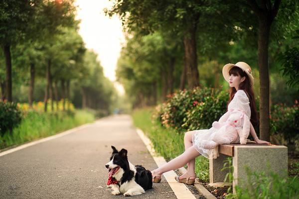 武漢美博會之晨曦 武漢美博會之晨曦